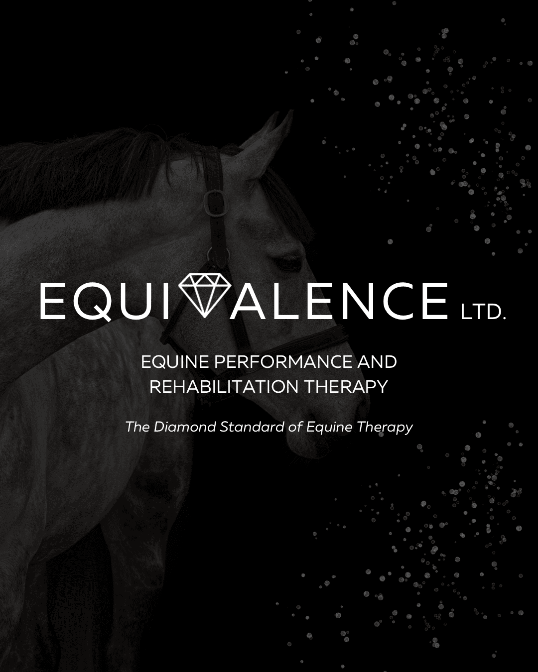 Sarah Morris - Equivalence Ltd - Equine Manual Therapy UK photo