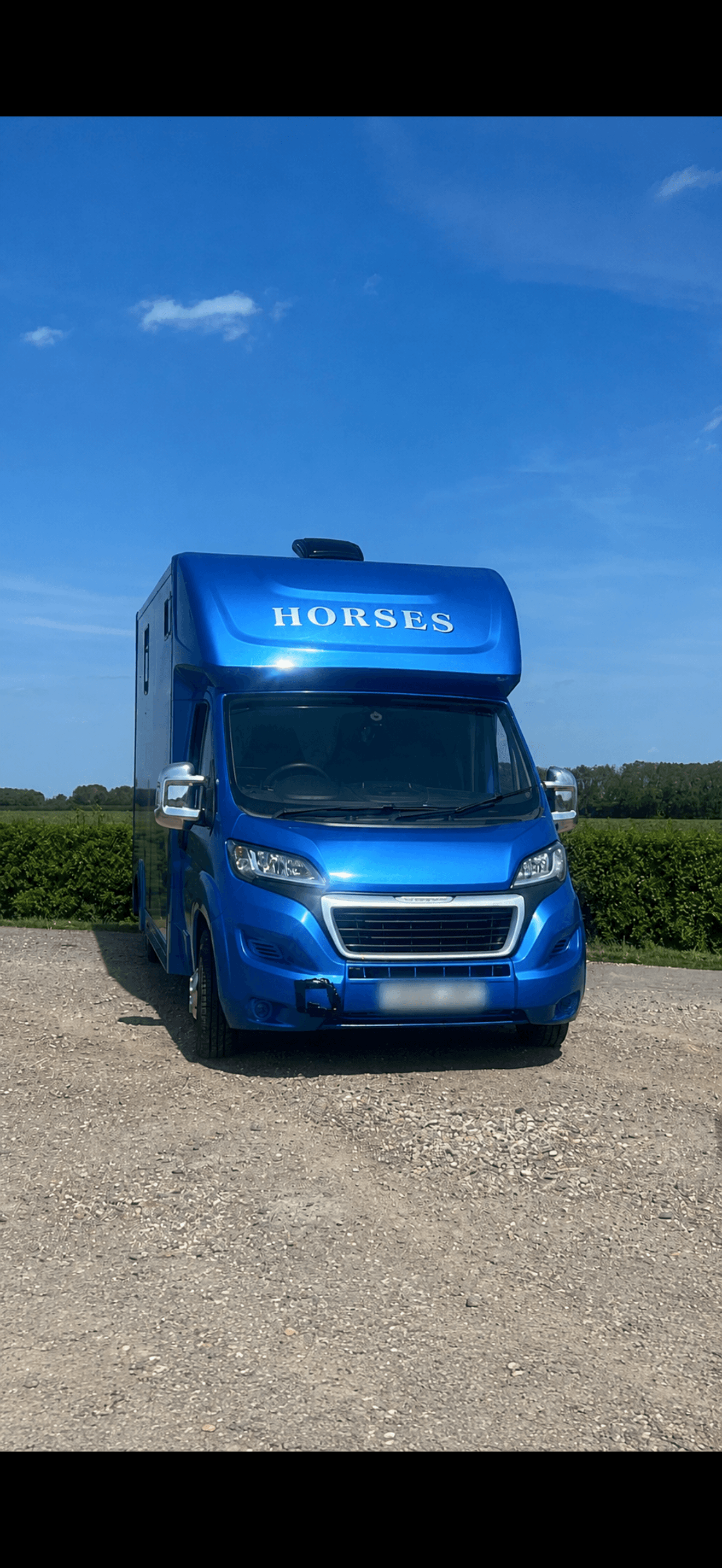 Tailored Equine Transport & Services photo