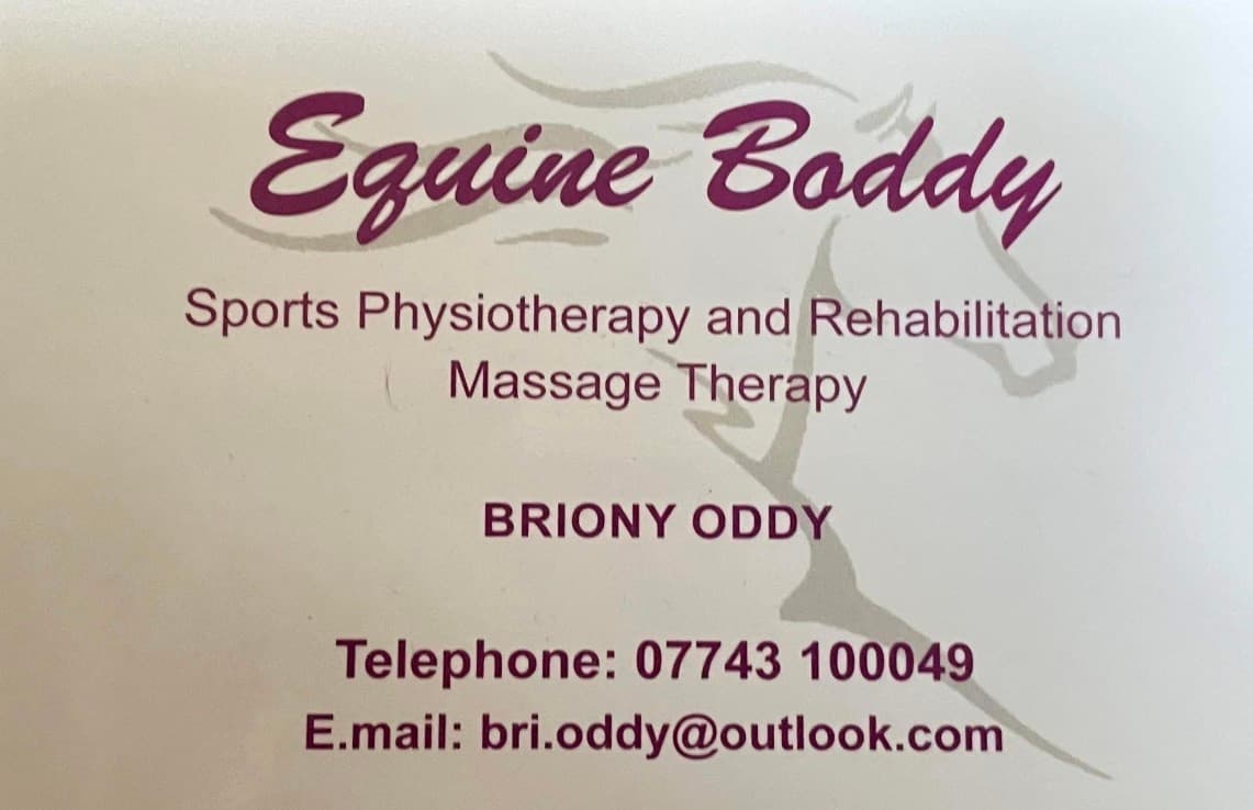 Equine Boddy