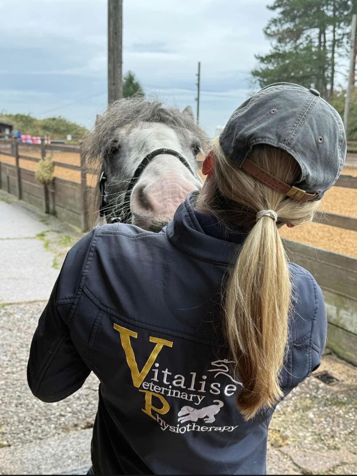 Vitalise Veterinary Physiotherapy photo