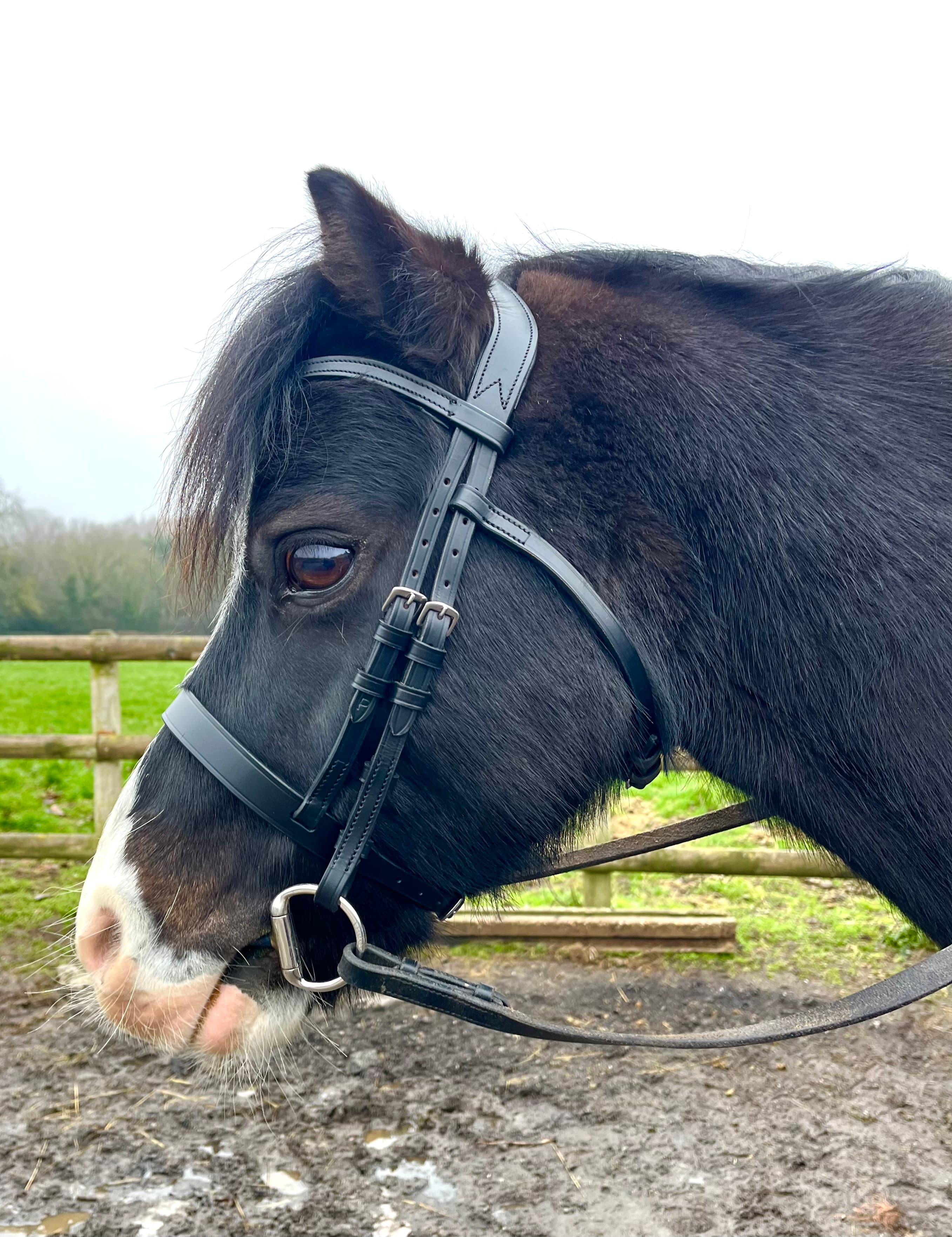 Rachel miller Bit & Bridle fitter photo