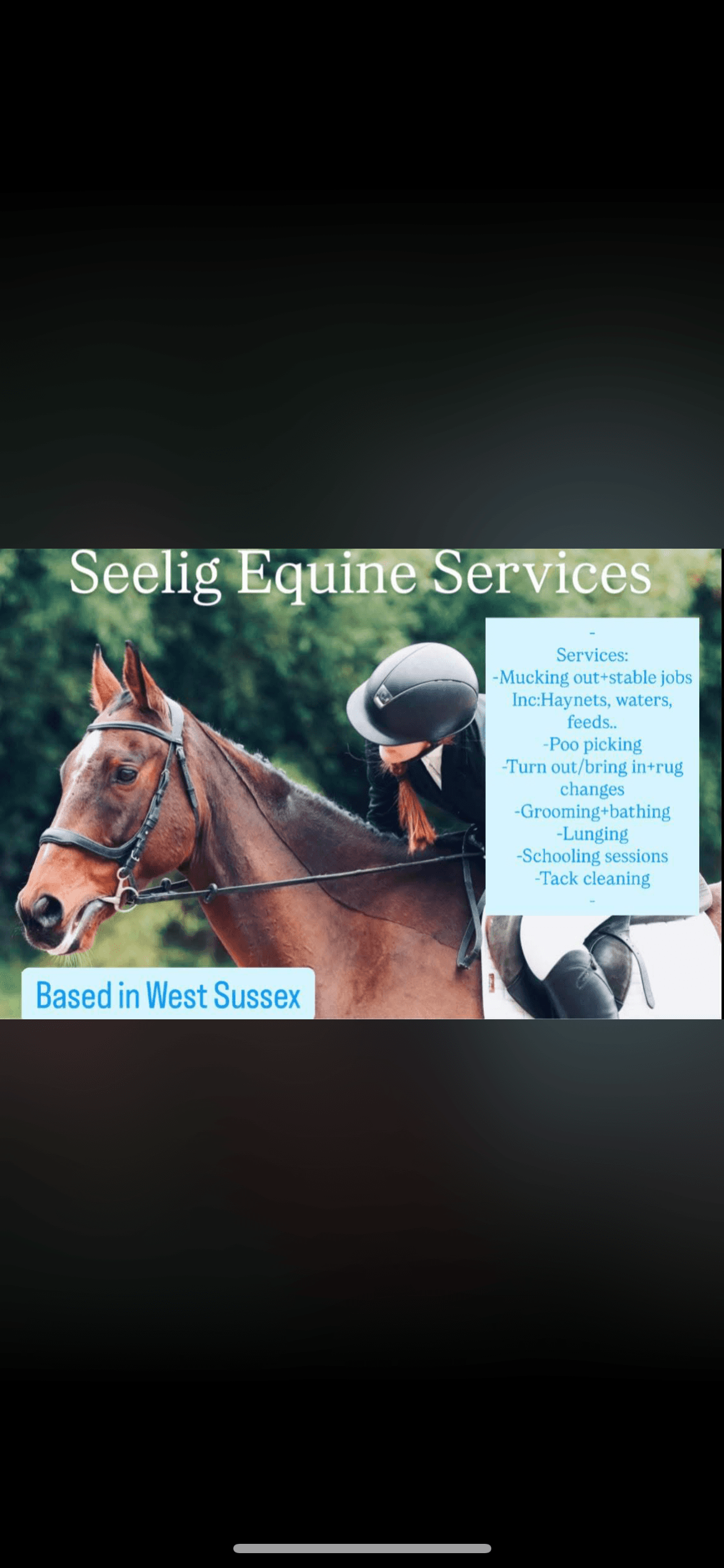 Seelig Equine Services photo