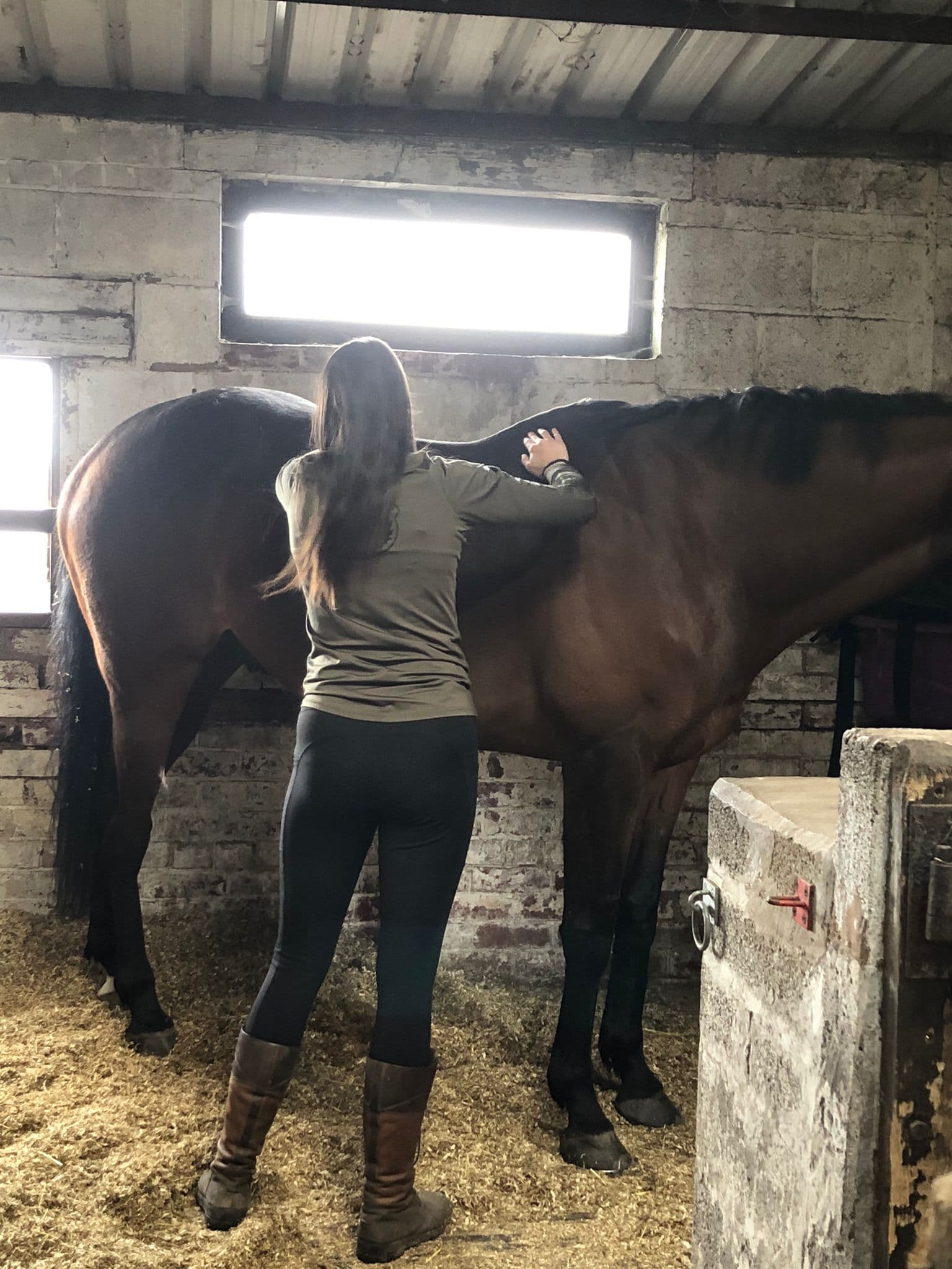 Fletchers Equine Bodywork photo