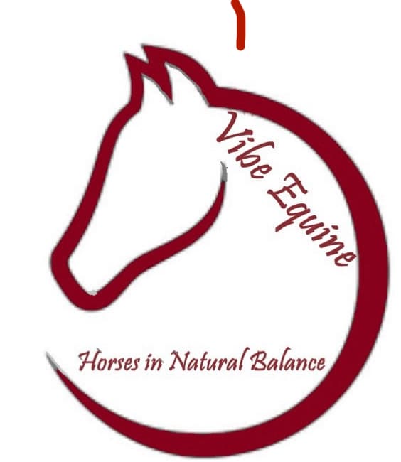 Vibe-Equine photo
