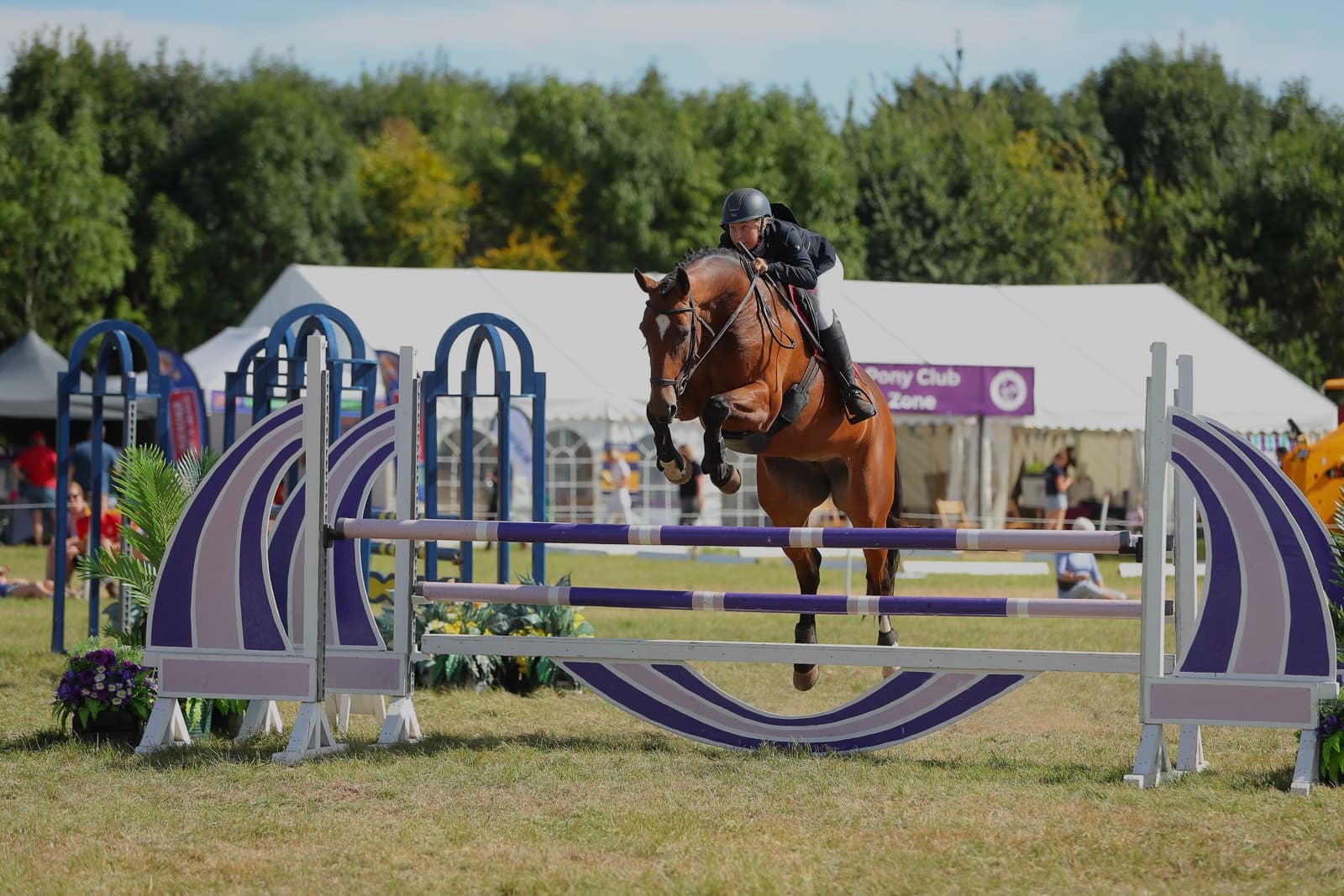 GHS Equestrian Services photo