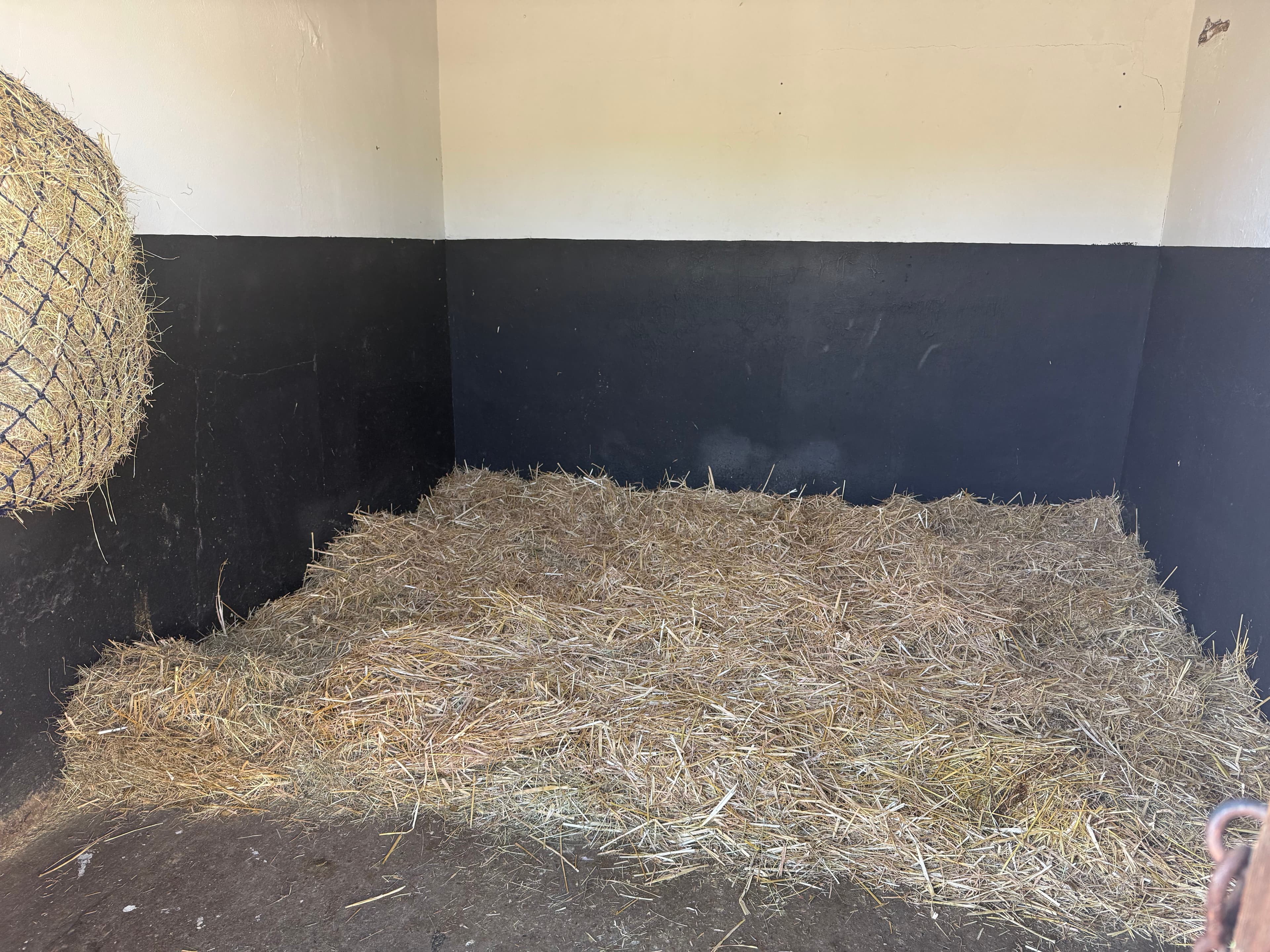 Pegasus stables