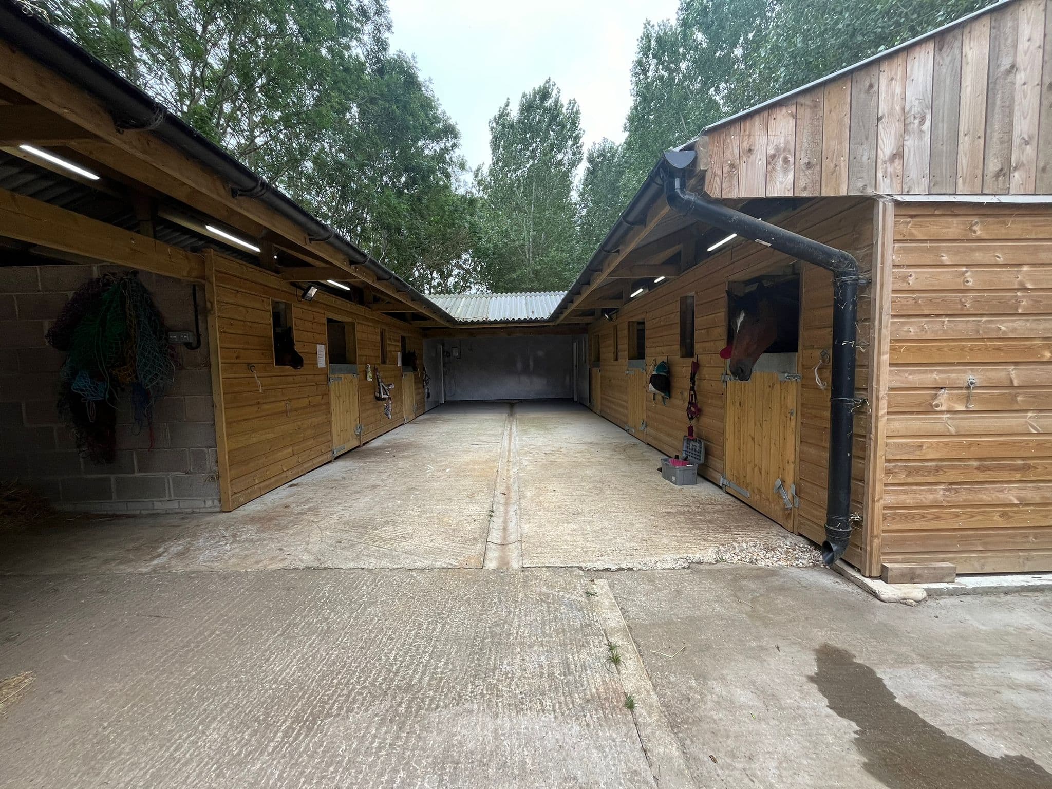 Top Lodge Equestrian