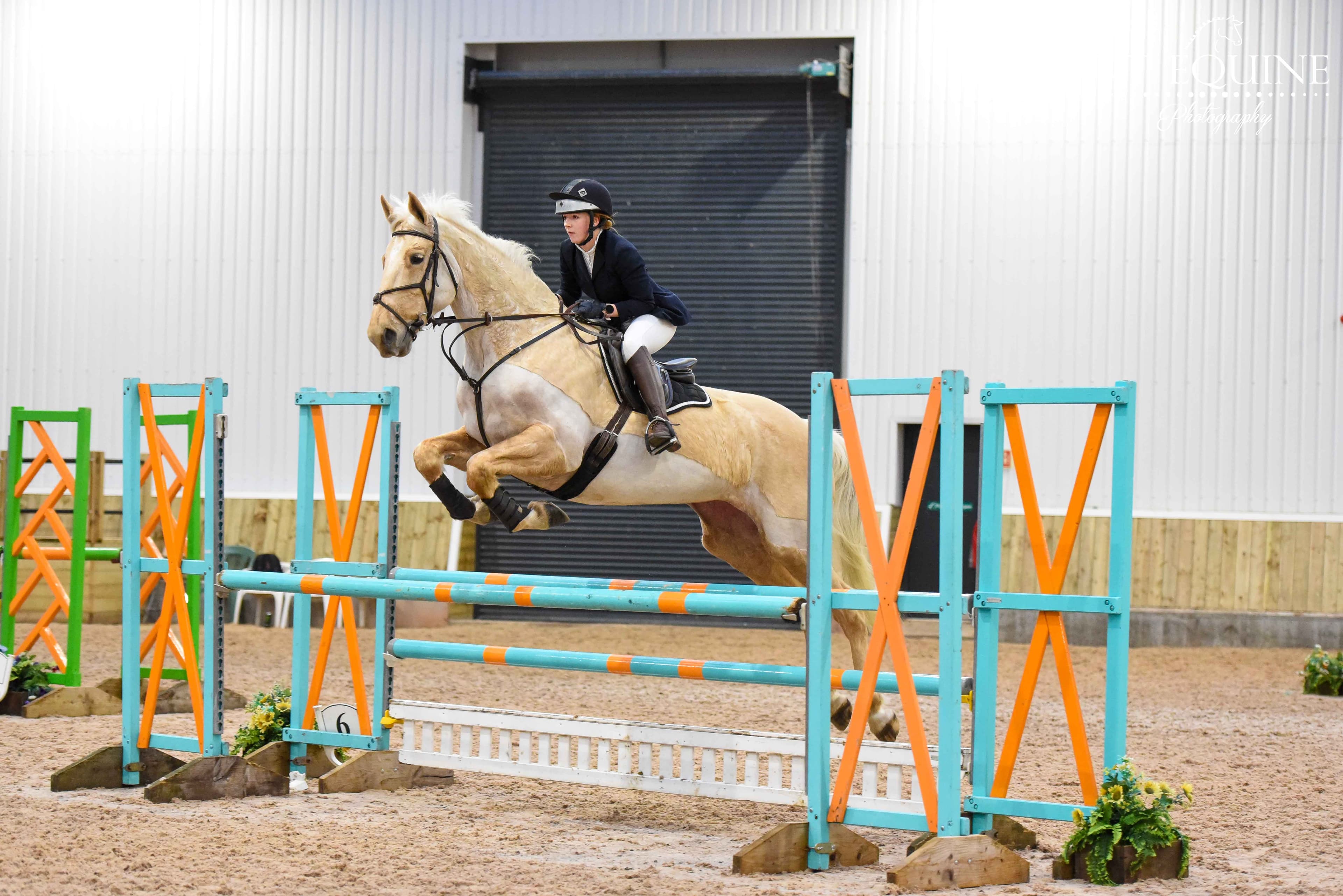 Ceri Smith Equestrian