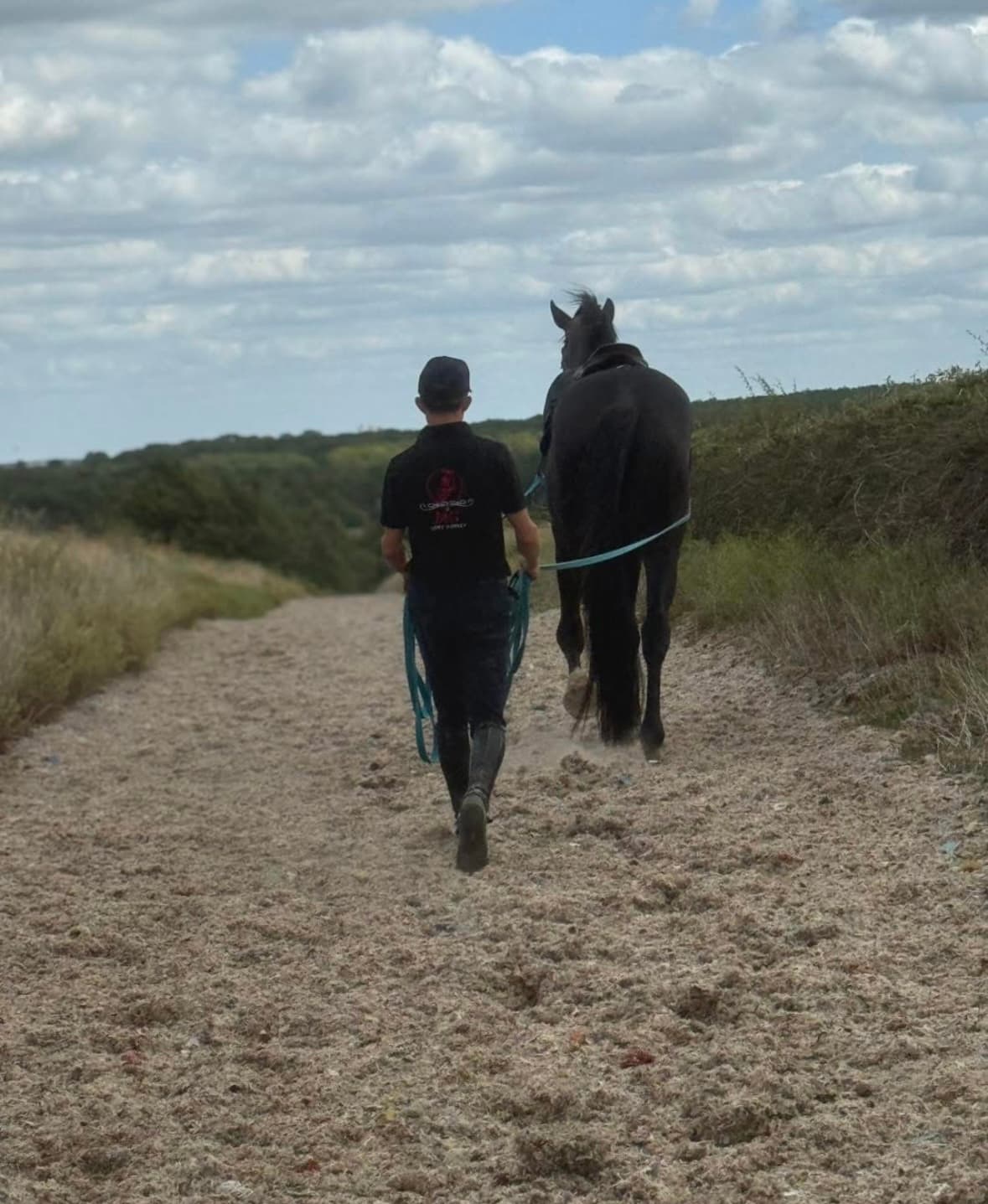 JAG SPORTHORSES