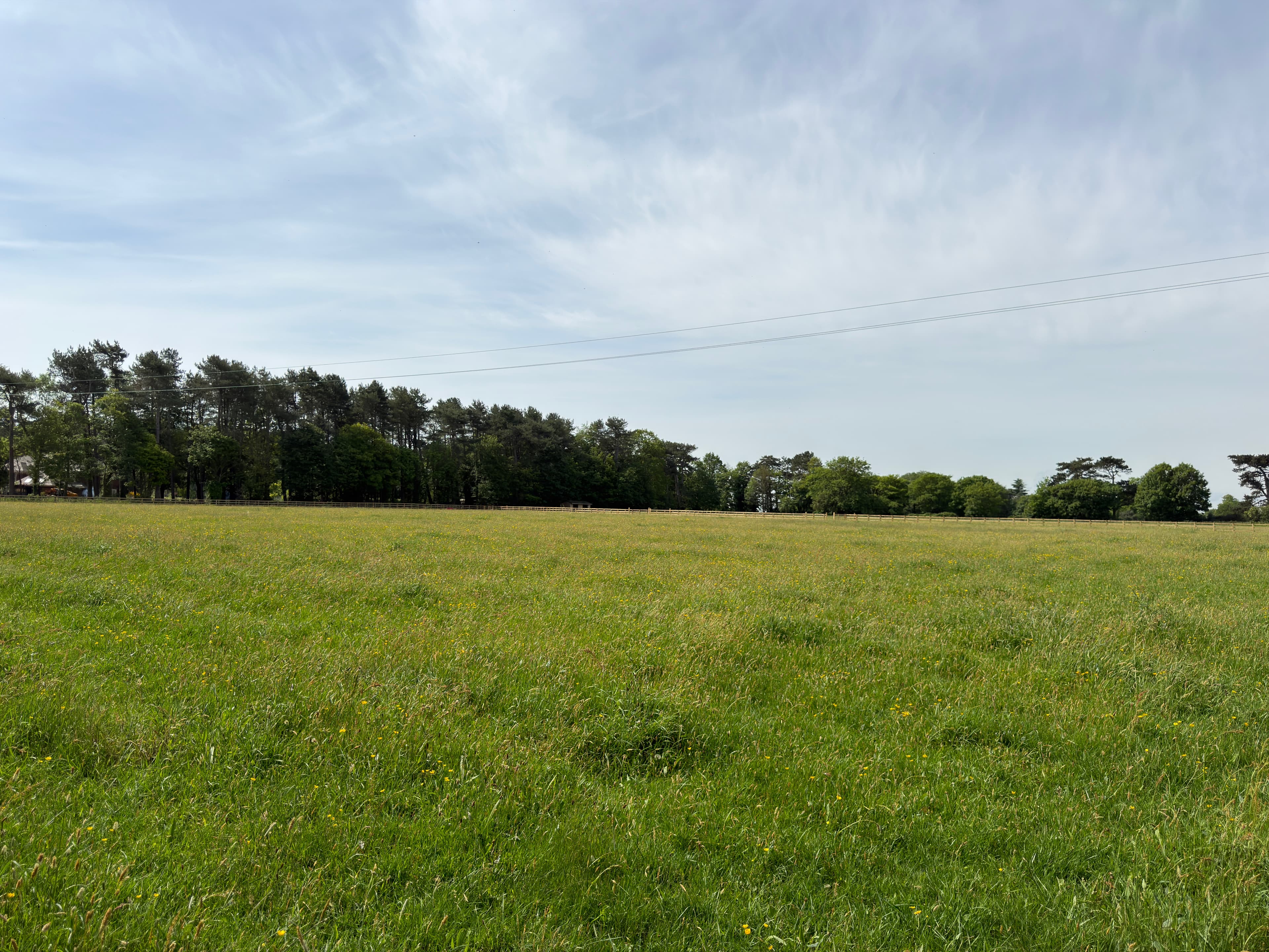 Fieldhead Equestrian