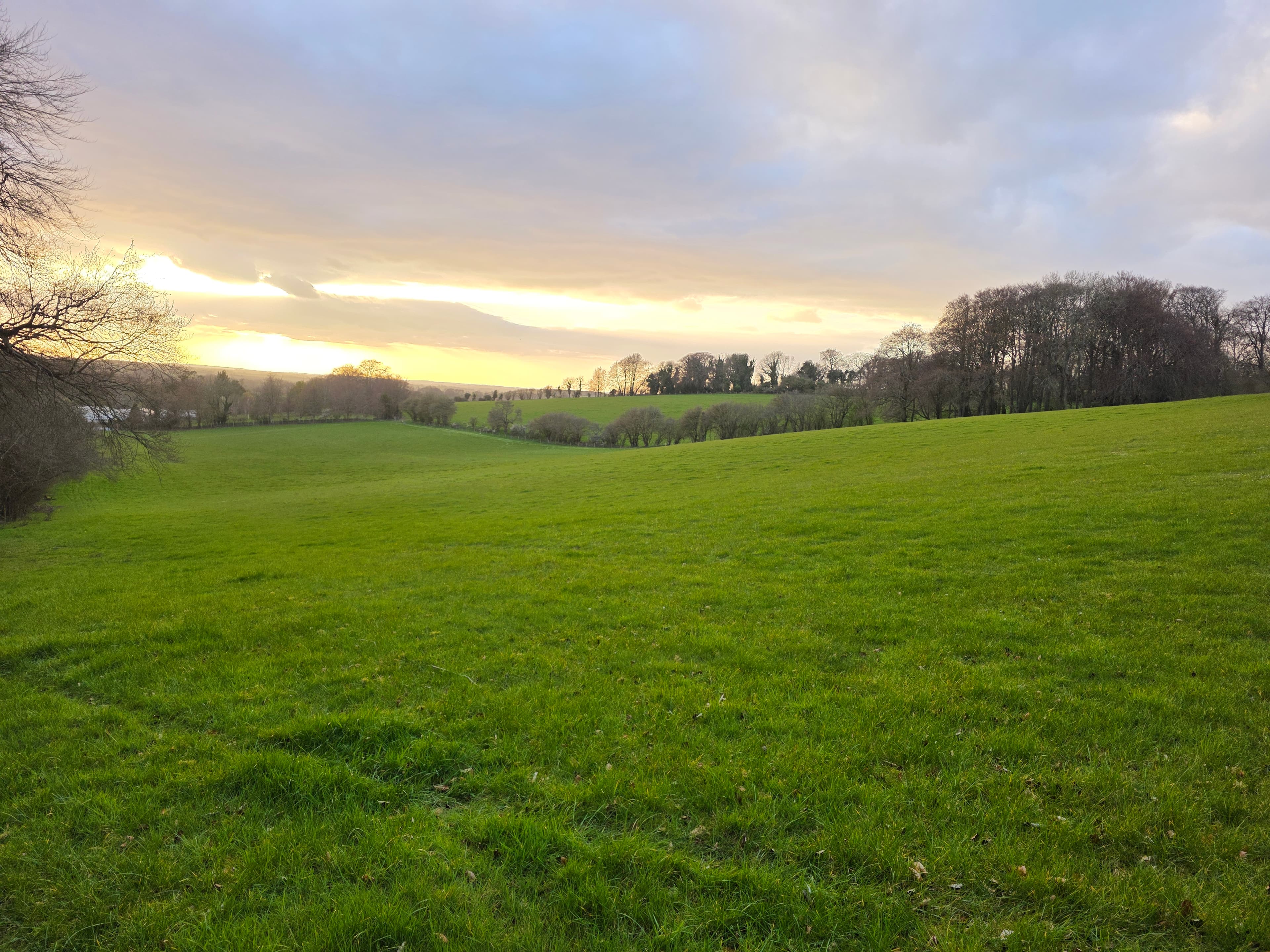 Peaceful Pastures Grazing