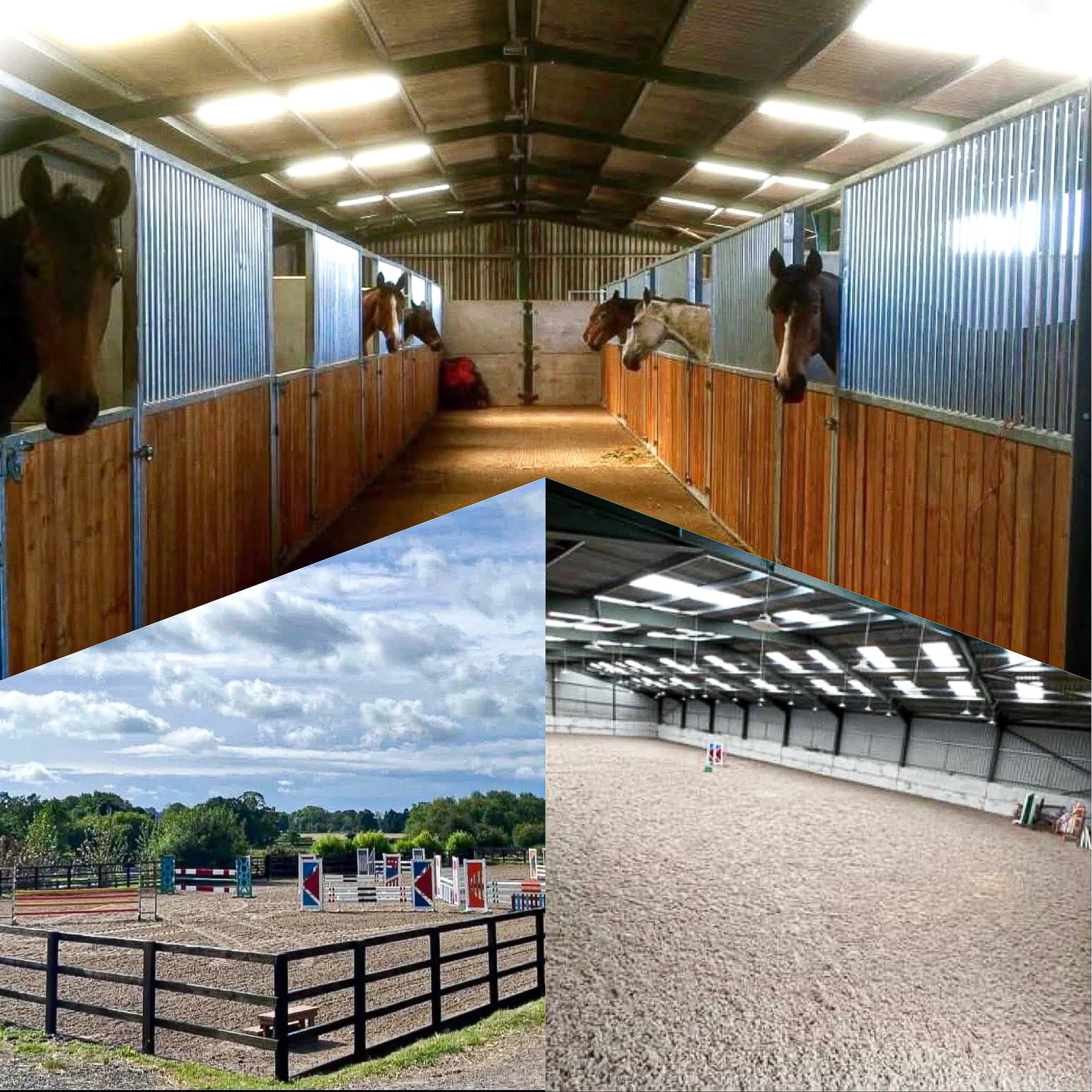 JD Horse Sales & Training