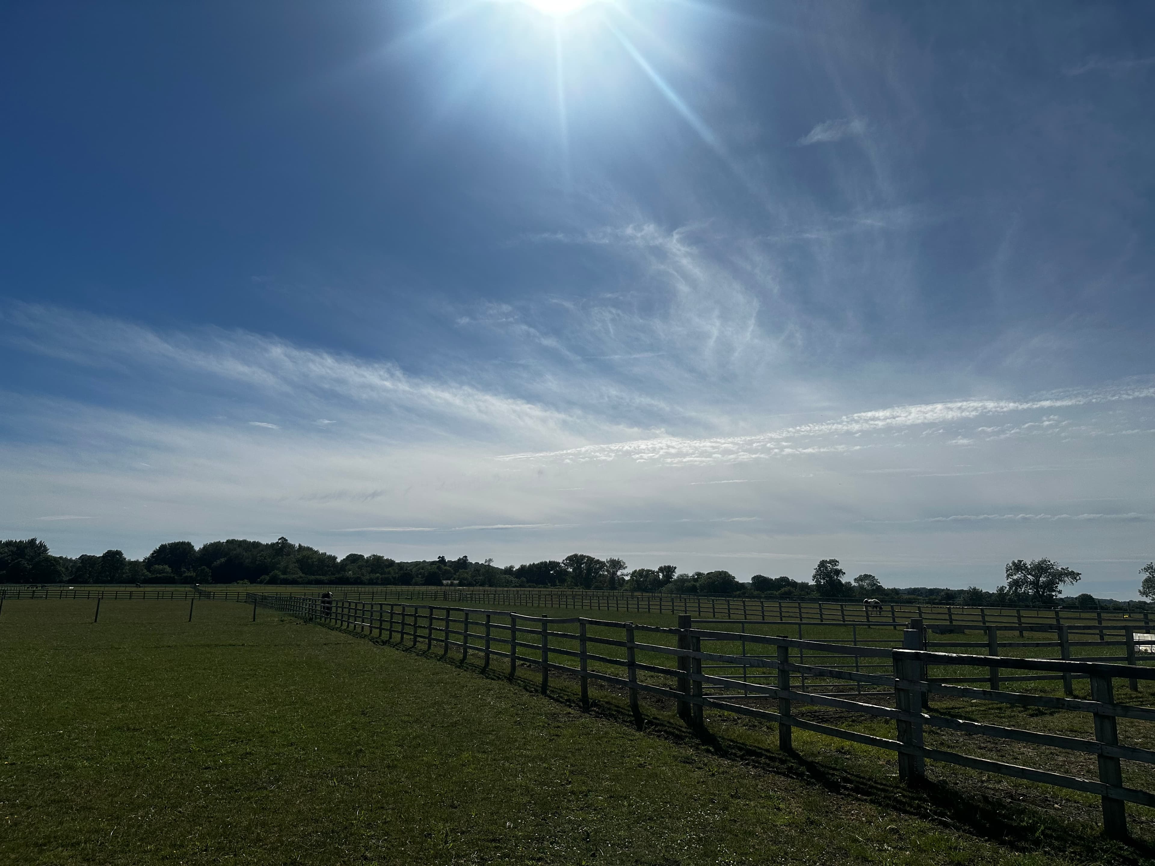 Hersey Park Stables